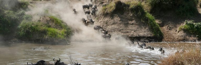 Masai Mara National Reserve1